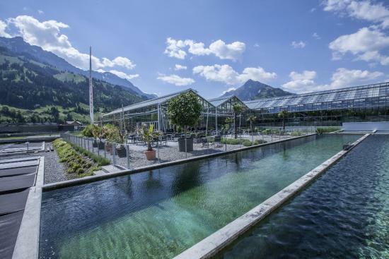 Restaurant Tropengarten